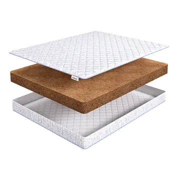 Orto Dream 15