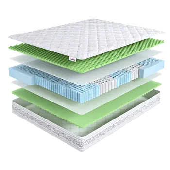 Intellect Zone Ergo