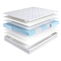 Intellect Zone Memory