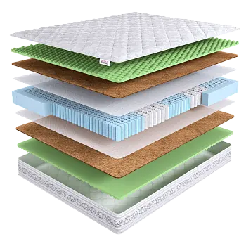 Intellect Zone Foam
