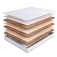 Orto Mix Holl (155х175)