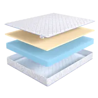 Roll Max Latex (155х175)